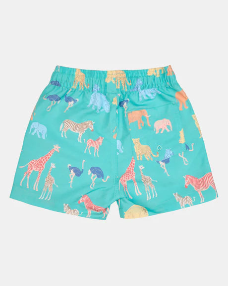 Toshi Swim Boardies Splash Congo Seagrass