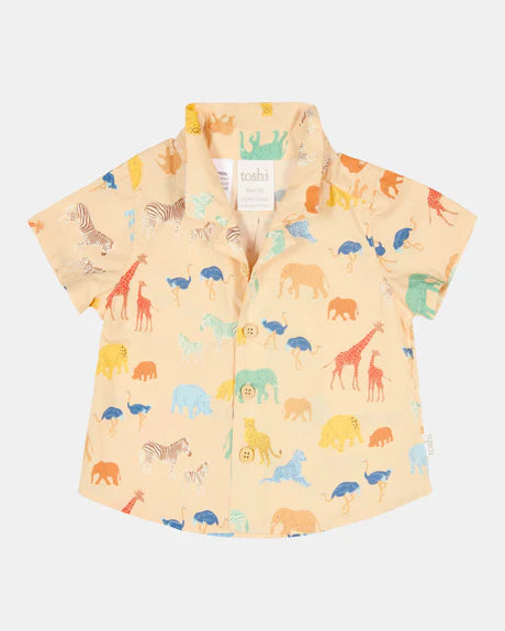 Toshi Shirt Banjo Congo Driftwood