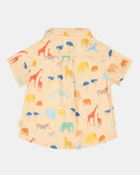 Toshi Shirt Banjo Congo Driftwood