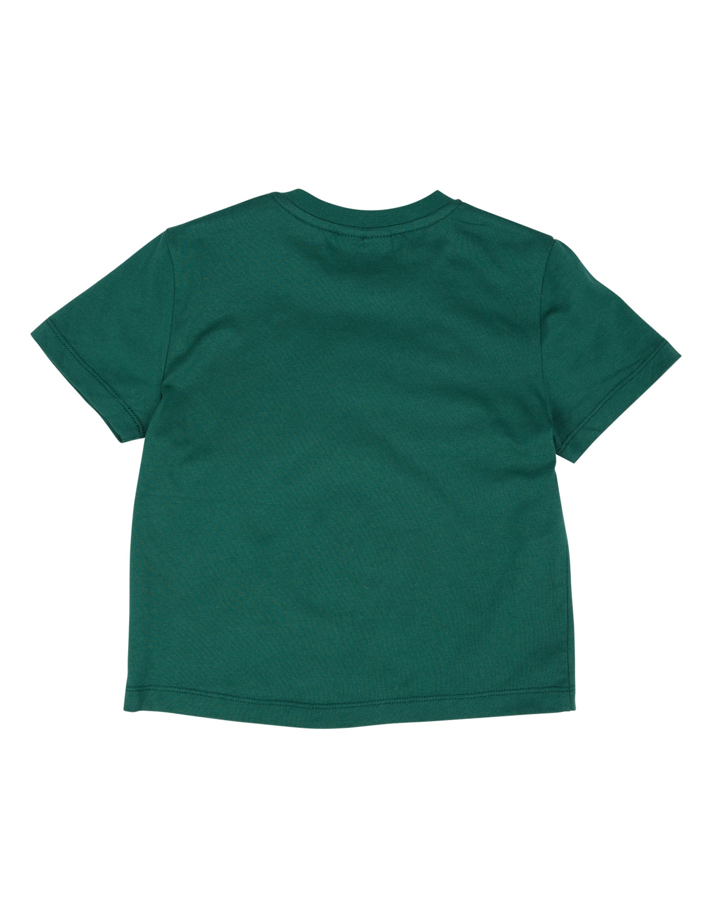 Animal Crackers Summer Raffi Tee Teal