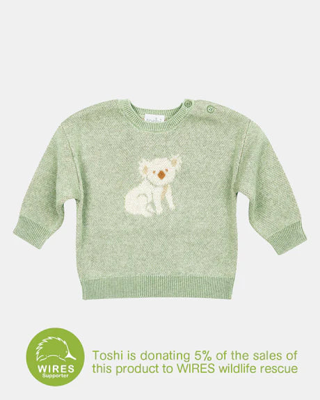Toshi Organic Pullover Storytime Koala