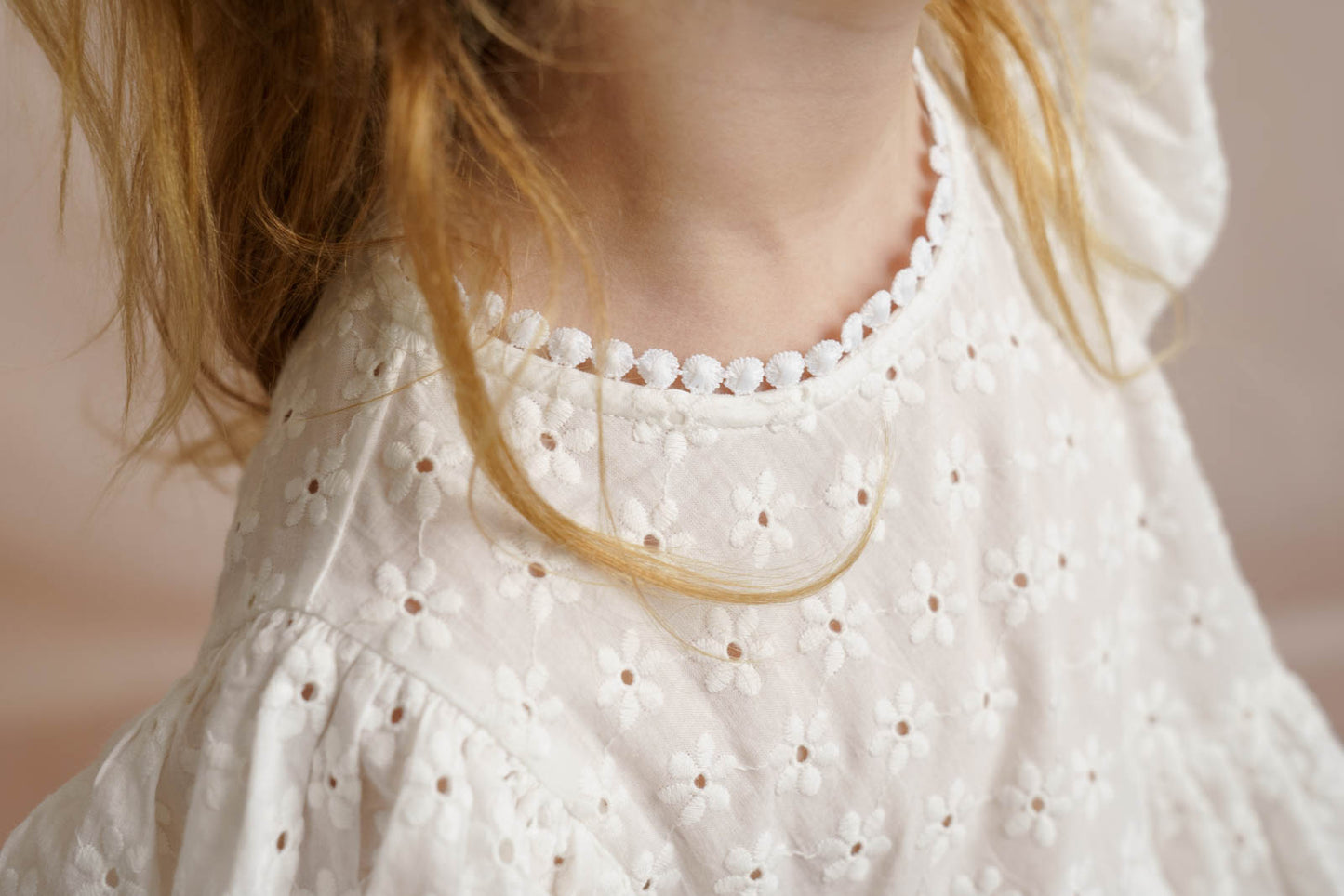 Rai & Co Eliza Embroidered Dress