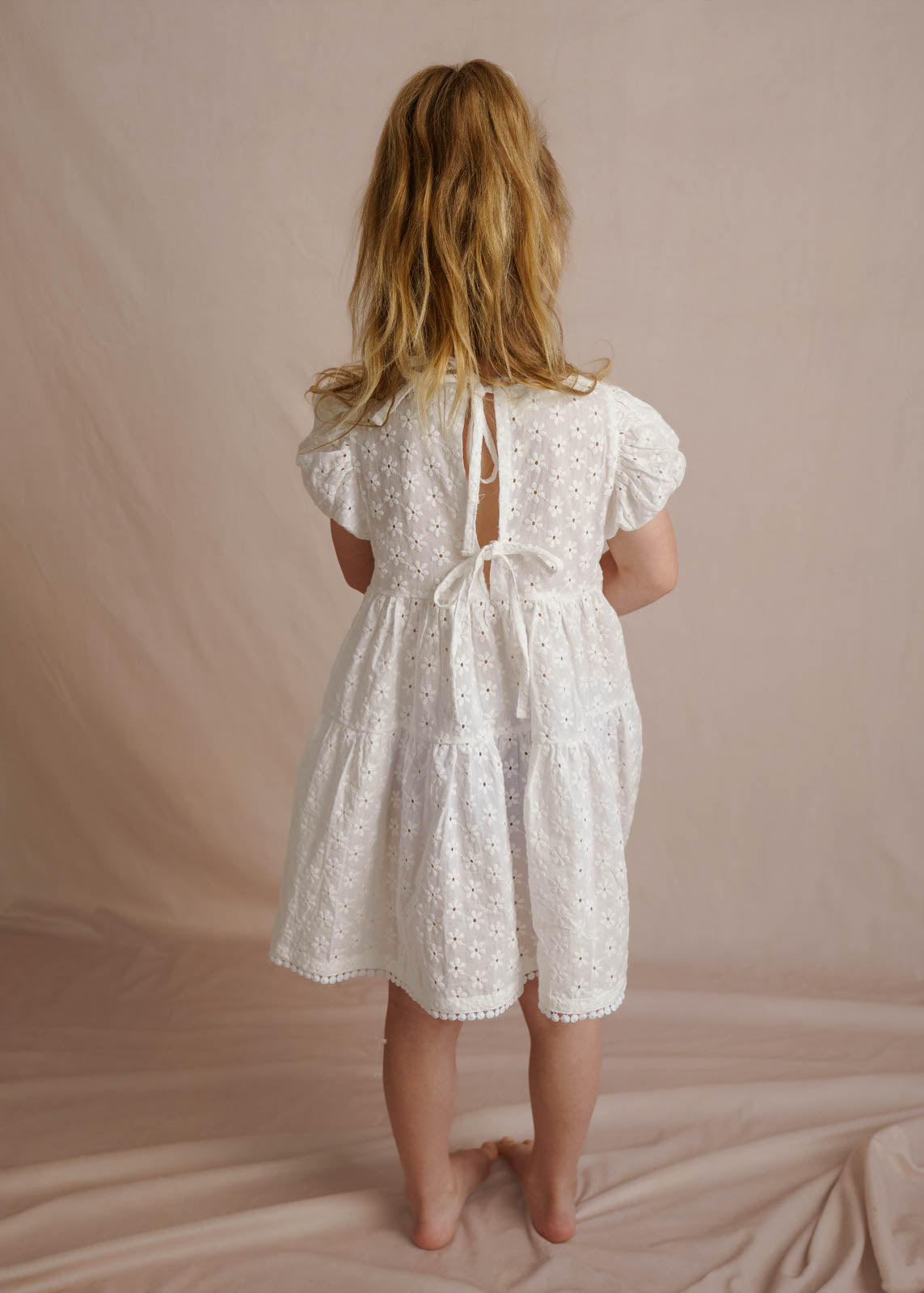 Rai & Co Eliza Embroidered Dress